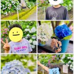 thumbnail_image7