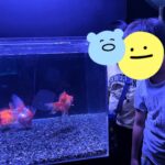 thumbnail_image1-1