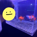 thumbnail_image2-1