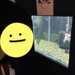thumbnail_image3
