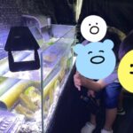 thumbnail_image6